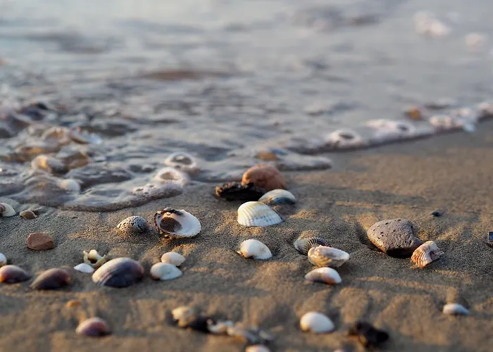 Apartment Beachfront Cozy Flat 1-bedroom With Balcony *